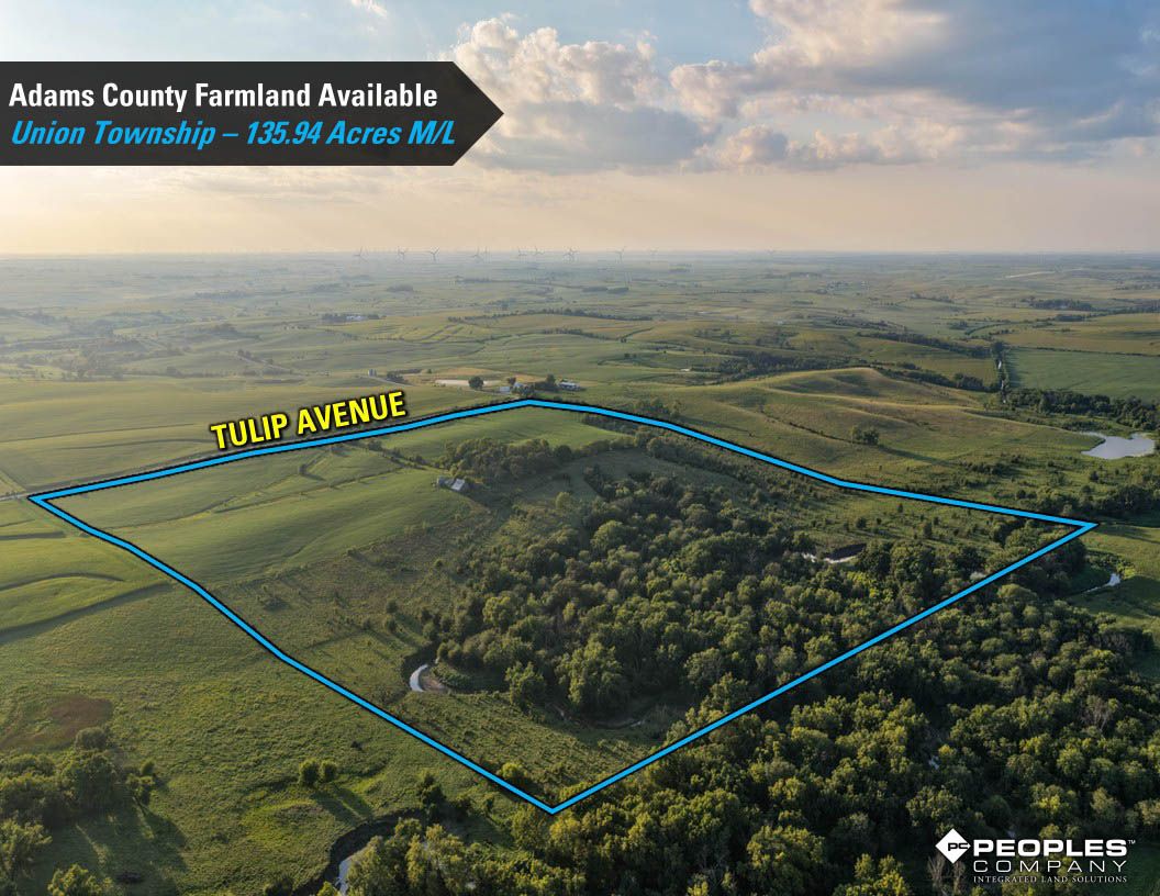 Listing Photo: Adams-County-Iowa-Farmland-Available-136-Acres-Blazek-Estate-19707 (34)